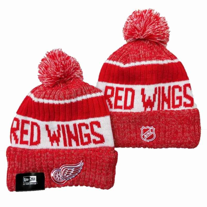 Detroit Red Wings Team Logo Knit Hat YD (2),We sell and wholesale Detroit Red Wings Team Logo Knit Hat YD (2) on line form chian!